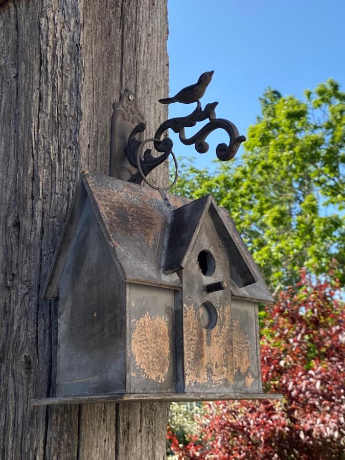 Gite Les Robins Vergigny Bagian luar foto